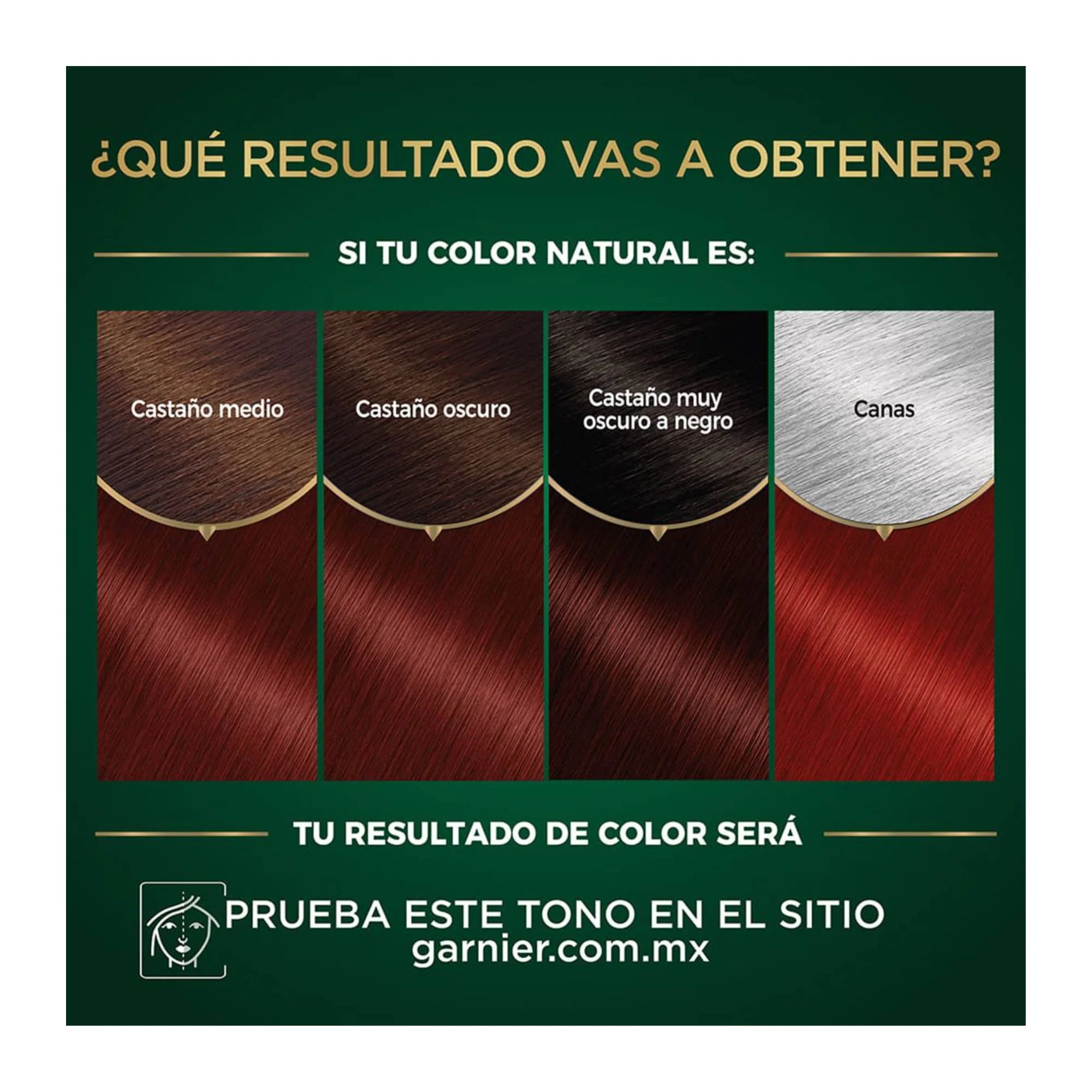 Tinte Garnier Nutrisse Oleos  Nro. 6.66 Rubio Rojizo - Image 2