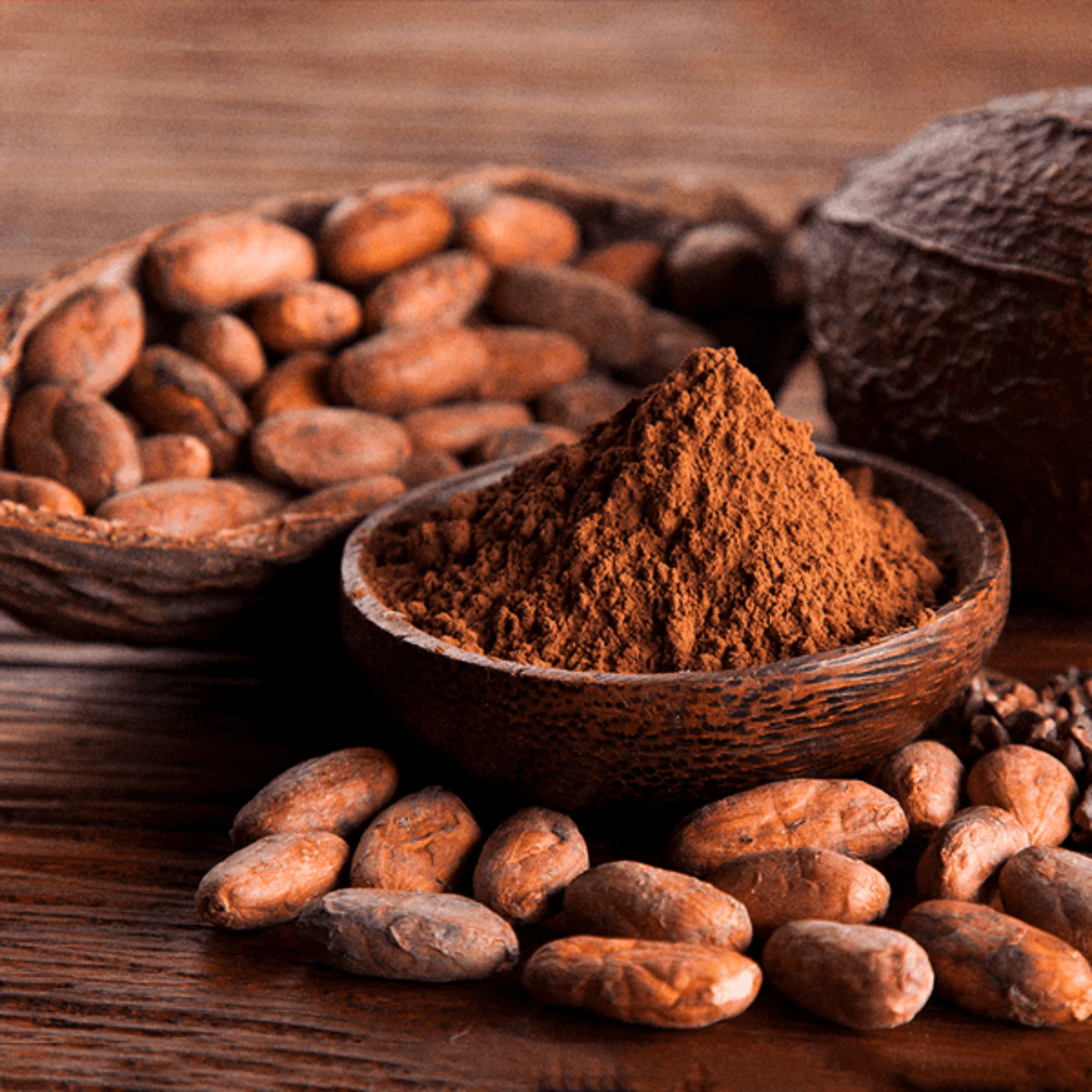 Proteína Atlhetica Best Vegano Sabor Cacao X 500G - Image 3