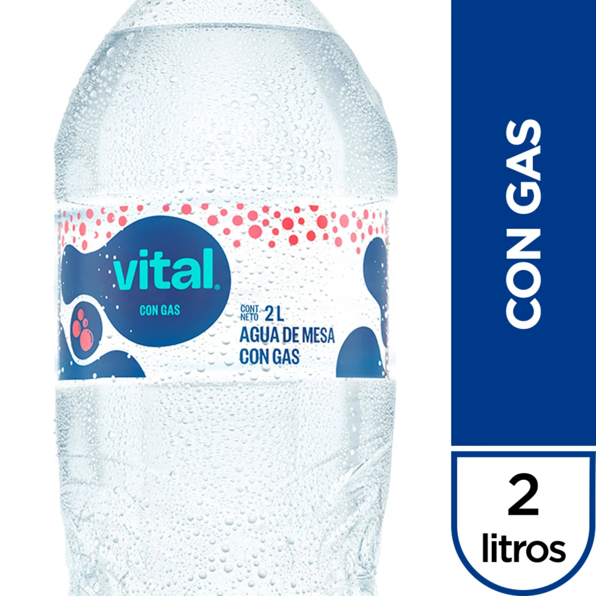 Agua Vital Con Gas X 2 L - Image 2